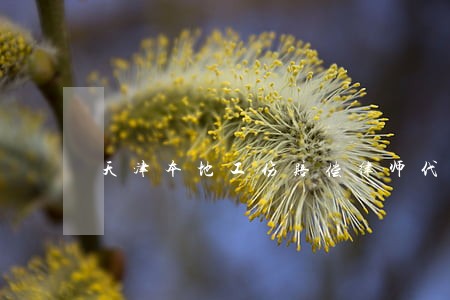 天津本地工伤赔偿律师代理费 天津本地工伤赔偿律师代理费