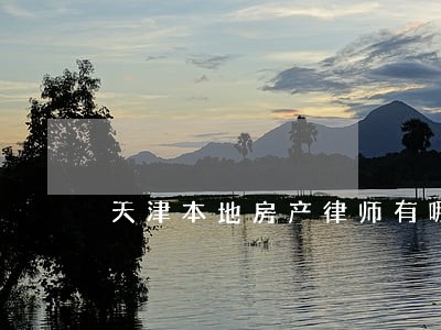 天津本地房产律师有哪些 天津本地房产律师有哪些