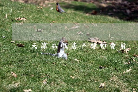 天津本地房产律师费用 天津本地房产律师费用