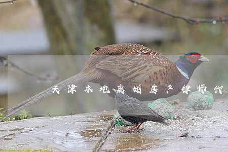 天津本地离婚房产律师代理费
