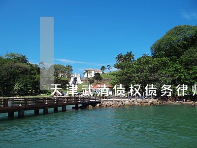 天津武清债权债务律师 天津武清债权债务律师