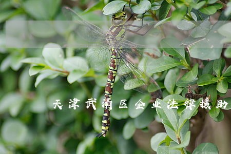 天津武清区企业法律援助 天津武清区企业法律援助