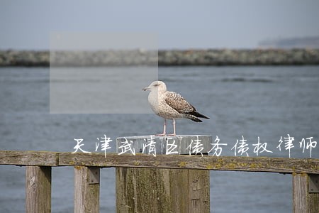 天津武清区债务债权律师事务所 天津武清区债务债权律师事务所