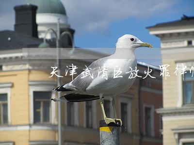 天津武清区放火罪律师咨询 天津武清区放火罪律师咨询