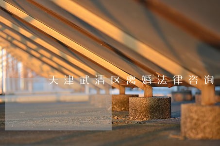 天津武清区离婚法律咨询 天津武清区离婚法律咨询