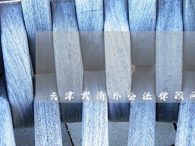 天津武清外企法律顾问 天津武清外企法律顾问