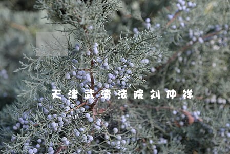 天津武清法院刘仲祥 天津武清法院刘仲祥