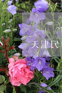 天津民事纠纷法律咨询 天津民事纠纷法律咨询