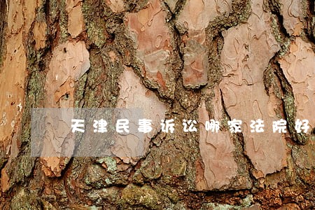 天津民事诉讼哪家法院好 天津民事诉讼哪家法院好