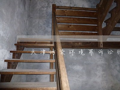 天津污染环境罪诉讼律师哪个好