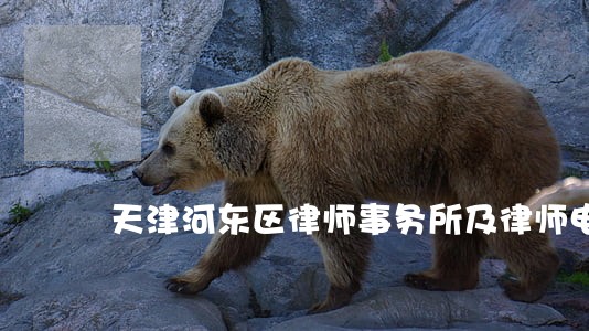 天津河东区律师事务所及律师电话 天津河东区律师事务所及律师电话