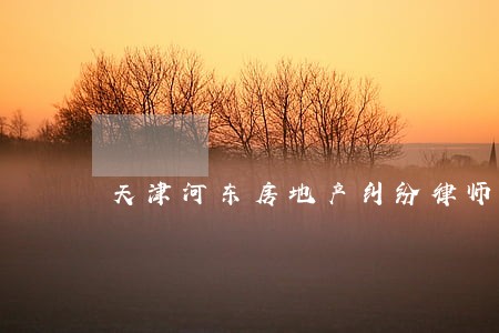 天津河东房地产纠纷律师 天津河东房地产纠纷律师