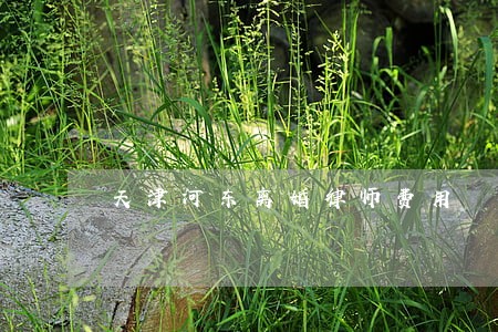 天津河东离婚律师费用 天津河东离婚律师费用