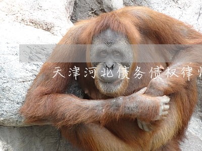 天津河北债务债权律师事务所
