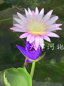 天津河北债务律师事务所 天津河北债务律师事务所