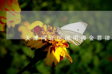 天津河北区挪用资金罪律师 天津河北区挪用资金罪律师