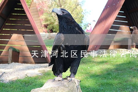 天津河北区民事法律咨询 天津河北区民事法律咨询
