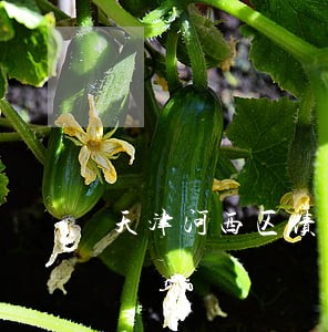 天津河西区债务继承律师哪里找 天津河西区债务继承律师哪里找