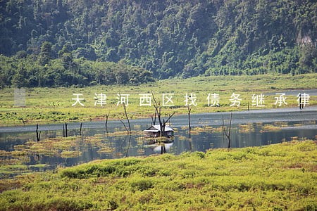 天津河西区找债务继承律师多少钱 天津河西区找债务继承律师多少钱