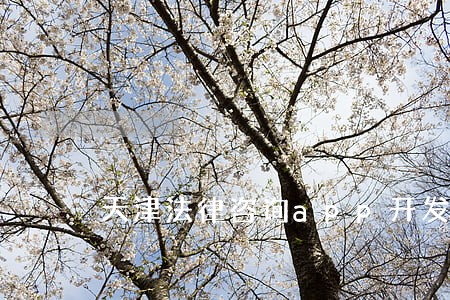 天津法律咨询app开发 天津法律咨询app开发