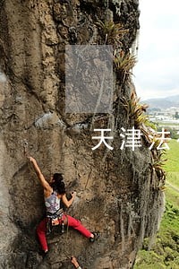 天津法律咨询事务所 天津法律咨询事务所