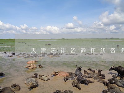 天津法律咨询在线咨询 天津法律咨询在线咨询