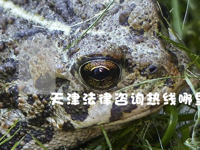 天津法律咨询热线哪里有 天津法律咨询热线哪里有