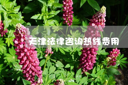 天津法律咨询热线费用 天津法律咨询热线费用