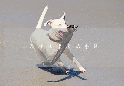 天津法律援助条件 天津法律援助条件