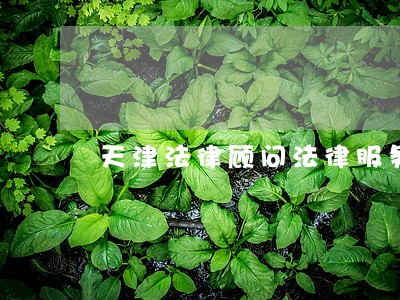 天津法律顾问法律服务 天津法律顾问法律服务