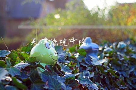 天津法院中院 天津法院中院