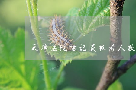 天津法院书记员报考人数