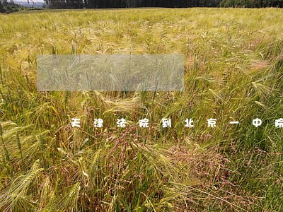 天津法院到北京一中院考察 天津法院到北京一中院考察