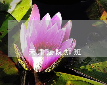 天津法院加班 天津法院加班