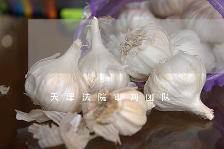 天津法院审判团队 天津法院审判团队