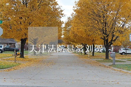 天津法院悬赏刘贺 天津法院悬赏刘贺