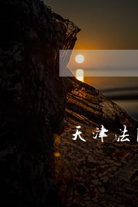 天津法院拍卖的房子 天津法院拍卖的房子