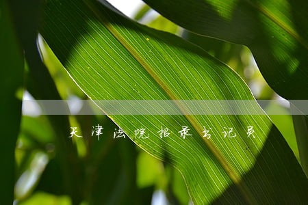 天津法院招录书记员 天津法院招录书记员
