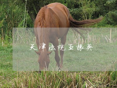 天津法院王振英 天津法院王振英