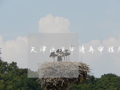 天津法院申请再审程序