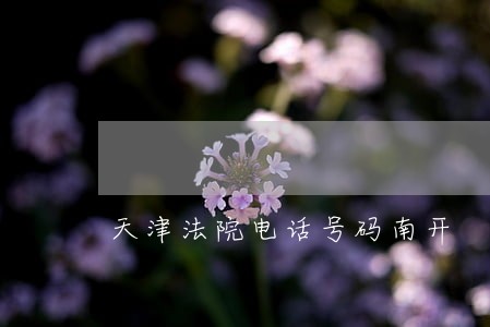 天津法院电话号码南开 天津法院电话号码南开