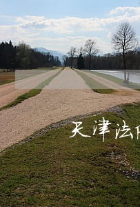 天津法院贾甄