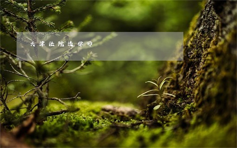 天津法院选律师 天津法院选律师
