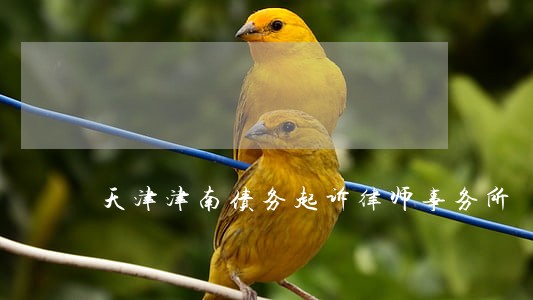 天津津南债务起诉律师事务所 天津津南债务起诉律师事务所
