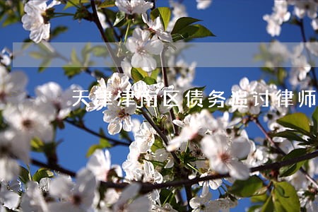 天津津南区债务追讨律师