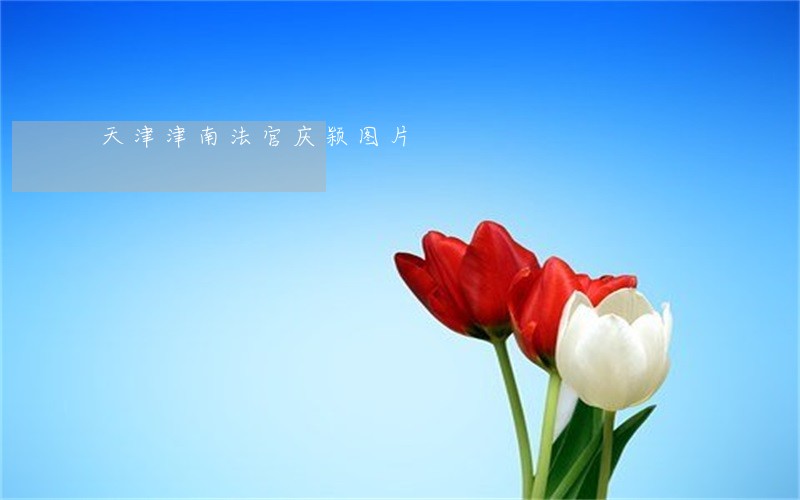 天津津南法官庆颖图片