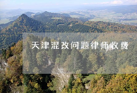 天津混改问题律师收费