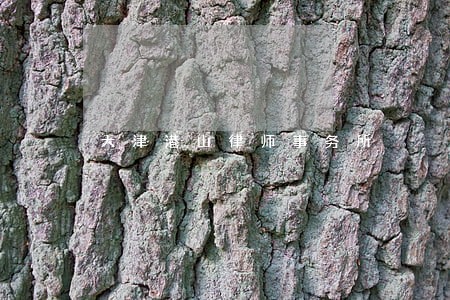 天津港山律师事务所 天津港山律师事务所