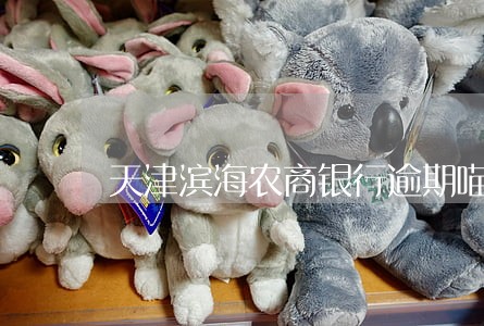 天津滨海农商银行逾期喵喵贷 天津滨海农商银行逾期喵喵贷
