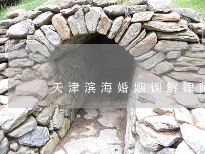 天津滨海婚姻调解律师 天津滨海婚姻调解律师